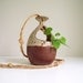 Hanging Planter Flower Pot Brown Handmade Pottery