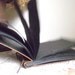 Vintage Album Scrap Book, Brown Faux Leather, Empty Pages