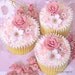 Maria In Dusty Pink Cupcakes or Cookies  (Featured On Children's Party Network BLOG)