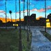 San Diego Art - California Sunset Oil Painting