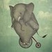 Elephant on a bike