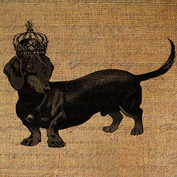 Dog Handsome Dachshund Crown Royal Digital Collage Sheet Download Transfer To Pillows Tote Bags Tea Towels  Burlap No. 1467