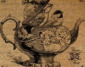 Two Birds Inside A Teapot Tea Pot Two For Tea Roses Bird Peek Out Digital Image Download Transfer To Pillows Tote Tea Towels Burlap No.2597