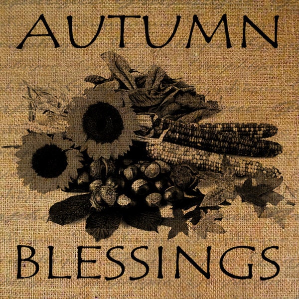 Autumn Blessings Quote Harvest Thanksgiving Fall Corn by Graphique