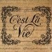 Cest La Vie French  Thats Life Text Typography Word Digital Image Download Sheet Transfer To Pillows Totes Tea Towels Burlap No. 2012