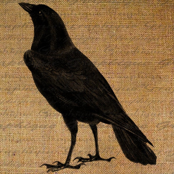 Halloween Digital Collage Sheet Black Birds Crow Raven Burlap Digital Download Fabric Transfer Iron On Pillows Tote Tea Towels 2176