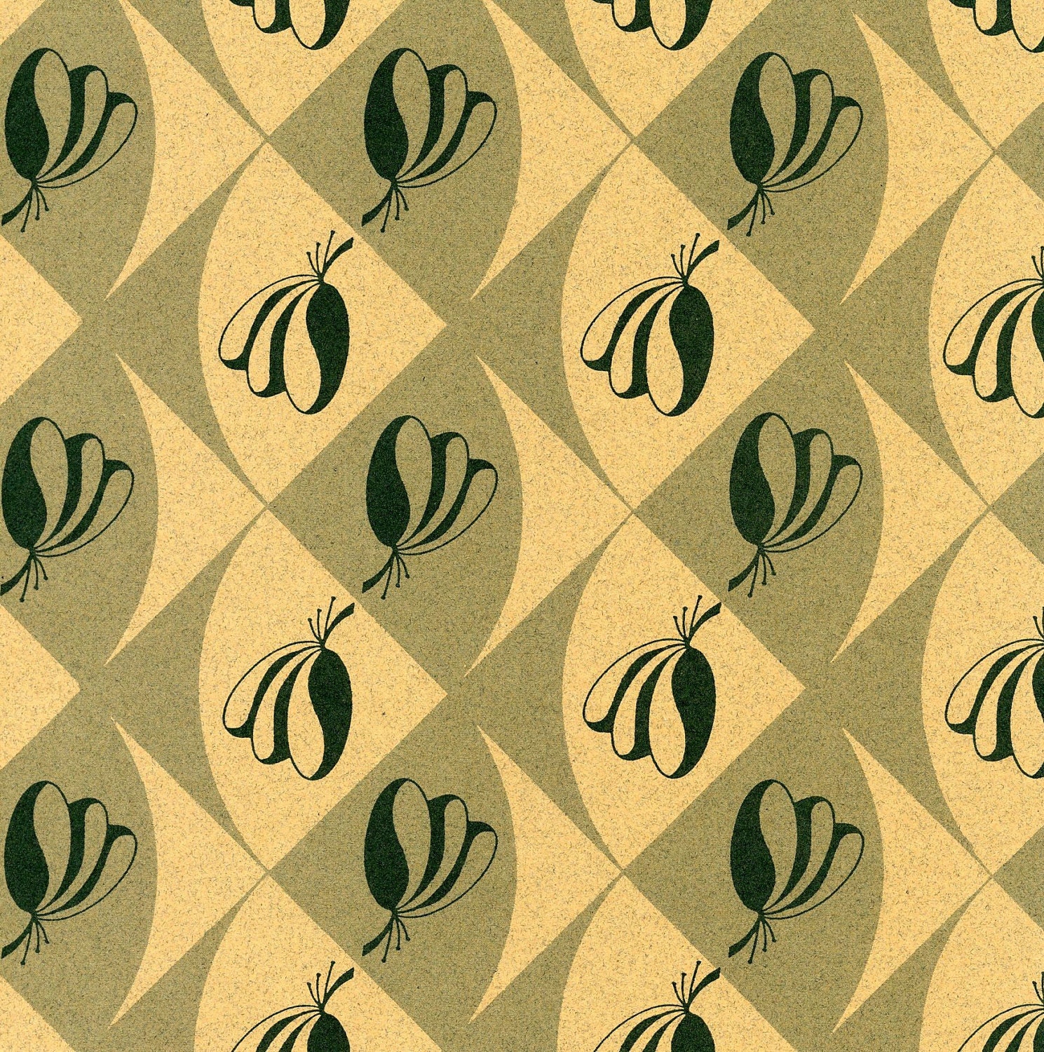 Artist Papers - 18x24 Sheets in "Fan Dance" Design