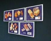 Set of Large Butcher Pork Cuts Charts