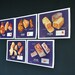 Set of Large Butcher Pork Cuts Charts
