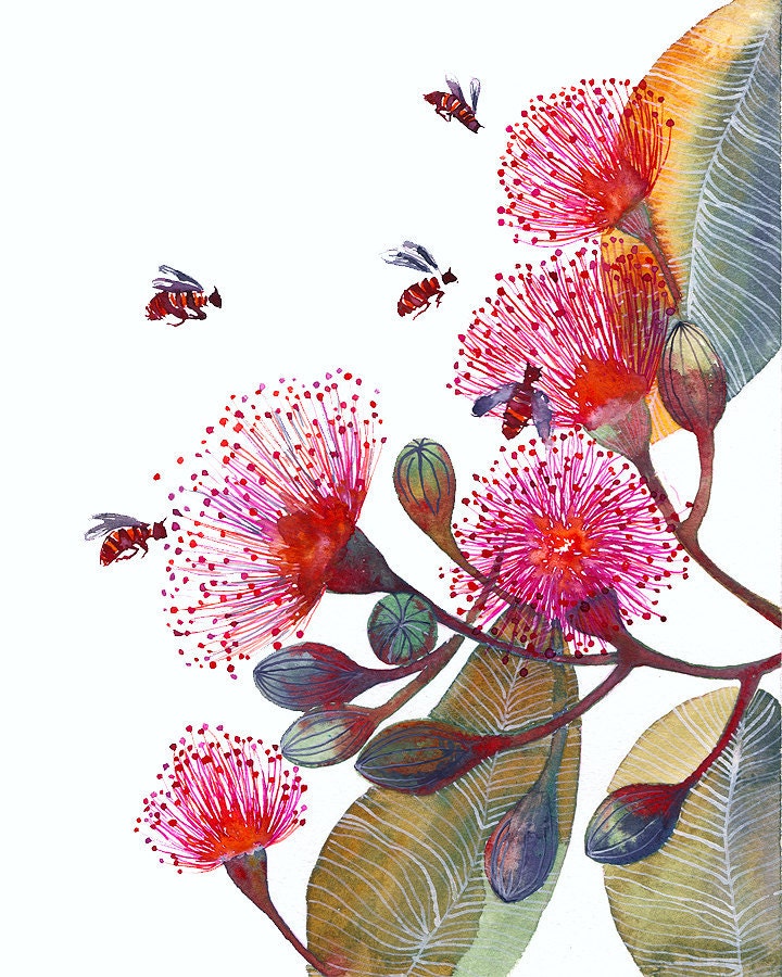 Pink Flowering Gum - flowers and bees, nature art print by OlaLiola, size 8x10 (No. 24)