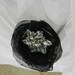 Black Flower White Rhinestone Hair Clip