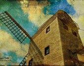 Where the Wind Blows  12x18 Fine Art Photo