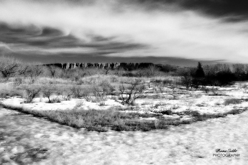 Strathcona Park  12x18 Fine Art Photo