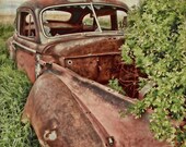 Hidden Gem 12x18 Fine Art Photo