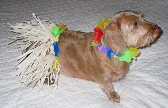 Dog Hawaiian Hula Skirt with Matching Lei. Comes in Toy, Small, Medium and Large sizes