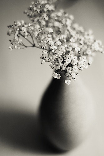 Posy 8x12 Fine Art Photography Print Black and White flowers Still life Baby's breath Nature Photo Vertical - MarianneLoMonaco