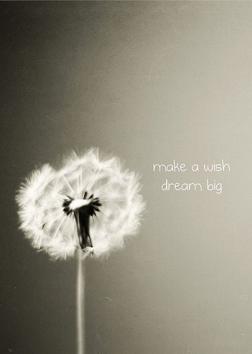 Dandelion Wish Quotes. QuotesGram