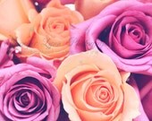 SALE / Luminous n.1 / IN STOCK / 8x10 Fine Art Photograph / roses spring bouquet / pink peach orange magenta - JenniferLynnPhotos