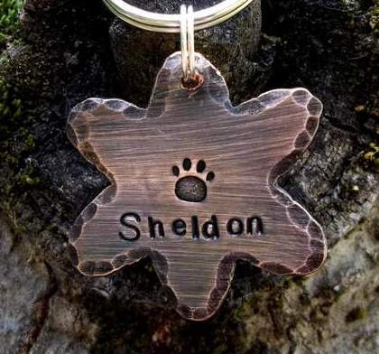 The Big Bang - Atom -Pet ID Tags/Tag or Keychain