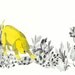 20 % OFF  giclee print, fine art ,simulating yellow dog