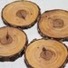 barky rock elm - natural wood coasters from fallen trees