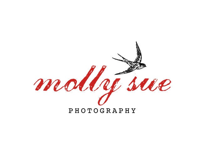 Photography Logo Premade Watermark Design for Photographers Premade Logos, Bird Flying Grunge Vintage Red