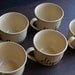 Hand Painted Poisons Teacup Set