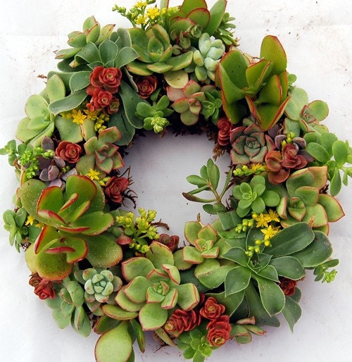Succulent Wreath Small Garden 9"