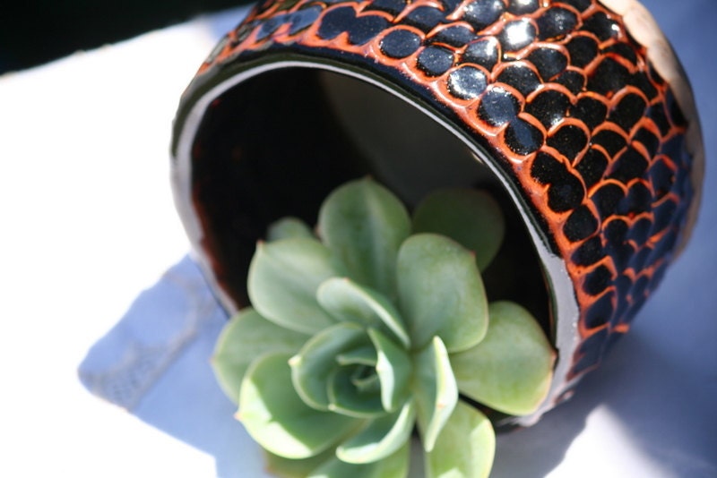 Succulent Pot - Garden gift