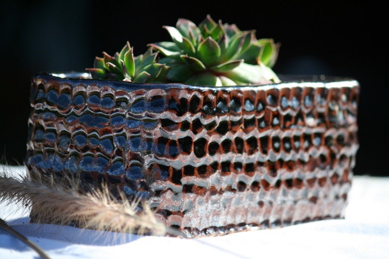 Rectangular pot for Unique succulent garden