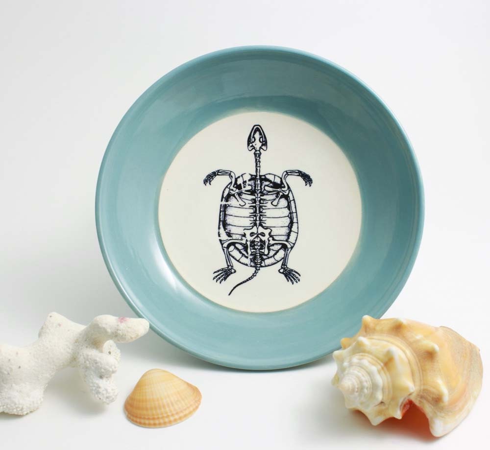 Turtle Skeleton Anatomy - Aquamarine Bowl with Turtle Illustration