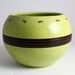 Ant Insect Pot in Green and Chocolate Brown - Green Pot with Brown Stripe and Ants