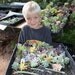 CUSTOM 300 Assorted Cuttings and 20 1-3" rosettes Cuttings perfect for living wall gardens wreaths and topiaries Succulents echeverias