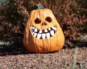 1 Package Small Pumpkinteeth... glow in the dark buckteeth 16 pcs