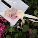 THE GENEVA--Mauve, Cream, & Taupe Maternity/Bridal Sash Belt--Photo Prop