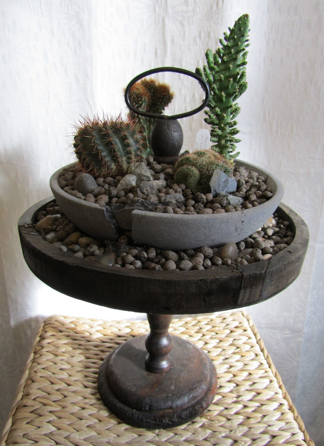 Upcycled Cracked Marble Birdbath Cactus/ Succulent Garden