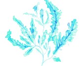 Seaweed in Turquoise Print