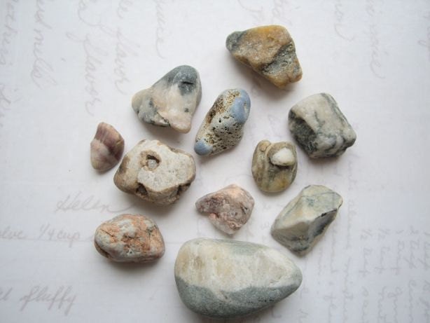 Washed Ashore Beach Stone Mx SS49