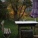 BOGO Sale Distant Gardens In The Fall Signed Fine Art Photograph Size 8 by 12