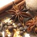 Mulling Spices DIY kit - festive holiday blend - use in baking / enjoy while entertaining / sitting by the fireplace / festive holiday house