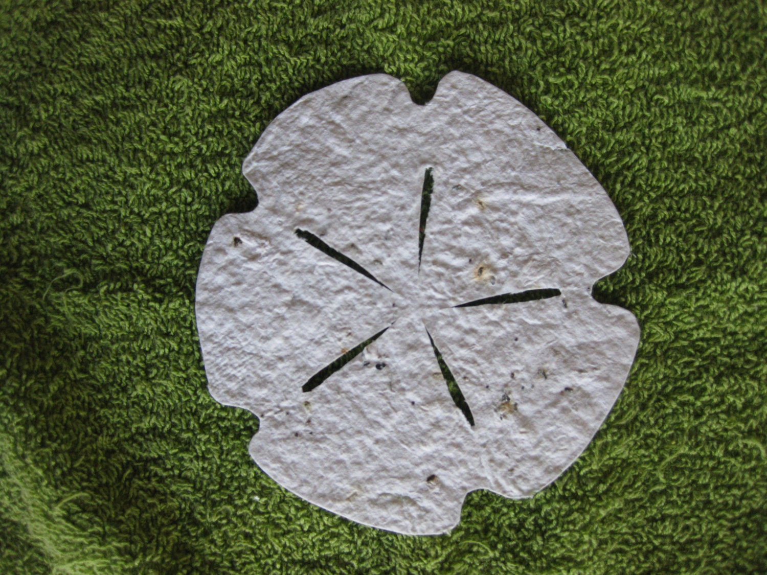 Handmade eco-friendly 100% Recycled Plantable Wildflower Sand Dollar Favors (Made to Order)