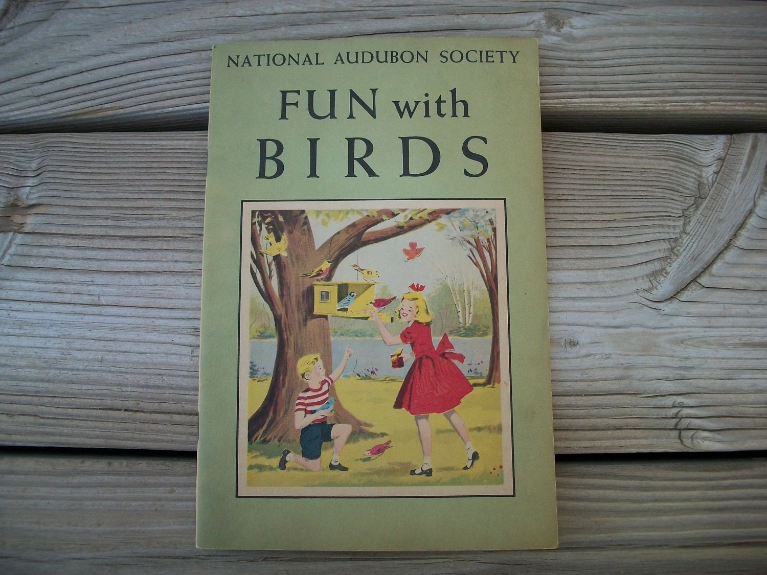 Vintage Audobon Society Nature Book Fun with Birds