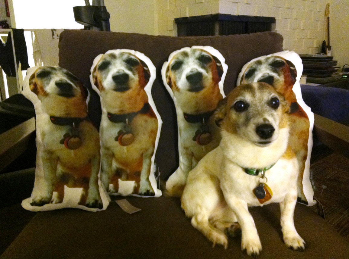 Custom Canvas Printed Photo Pillow