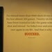 Inspirational Quote on Success Vinyl Wall Decal