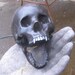 Vampire skull with hinged jaw