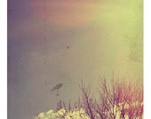 Postcard/Art Print A6 - Autumn Tree Photograph