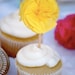 Peppy Toppers (Set of 12)