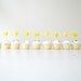 Custom Mini Pom Food Picks  (Set of 12)
