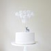 Winter White Cake Pom Collection