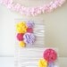 Gift Wrap Pom Collection